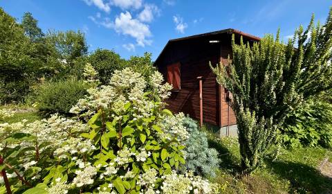 Kaufen Ferienhaus, Ferienhaus, Žilina, Slowakei