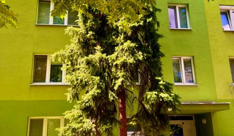 Kaufen 4-Zimmer-Wohnung, 4-Zimmer-Wohnung, Špačinská cesta, Trnava, Sl