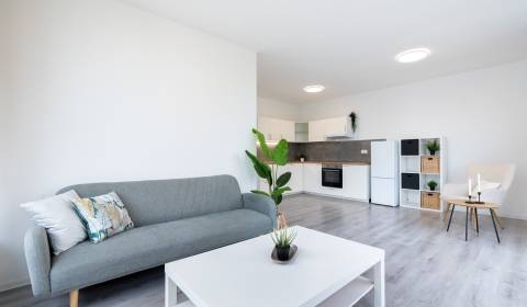 Mieten 2-Zimmer-Wohnung, 2-Zimmer-Wohnung, Veľkomoravská, Trenčín, Slo