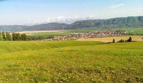 Kaufen landwirtsch. Grundstücke, landwirtsch. Grundstücke, Poprad, Slo