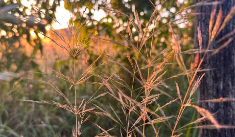 Kaufen landwirtsch. Grundstücke, landwirtsch. Grundstücke, Bánovce nad