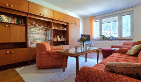 Kaufen 3-Zimmer-Wohnung, 3-Zimmer-Wohnung, Žiar nad Hronom, Slowakei