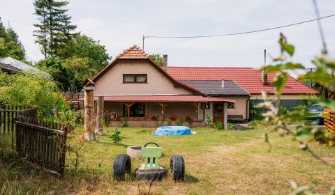 Kaufen Einfamilienhaus, Einfamilienhaus, Nové Mesto nad Váhom, Slowake