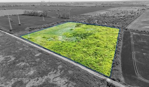 Kaufen landwirtsch. Grundstücke, landwirtsch. Grundstücke, Michalovce,