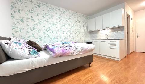 Kaufen Garconniere, Garconniere, Guothova, Bratislava - Nové Mesto, Sl