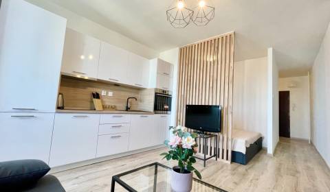 Mieten 1-Zimmer-Wohnung, 1-Zimmer-Wohnung, Rezedová, Bratislava - Ruži