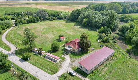 Kaufen Einfamilienhaus, Einfamilienhaus, Komárno, Slowakei
