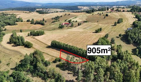 Kaufen Baugrundstück Erholung, Baugrundstück Erholung, Detva, Slowakei