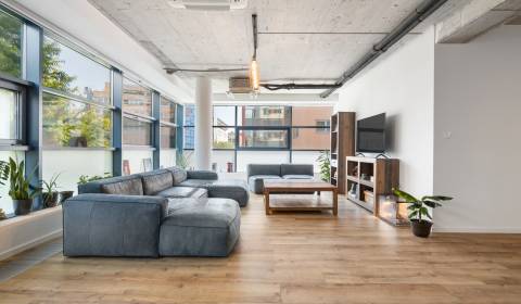 Moderne 4-Zimmer-Wohnung in der Altstadt mit Garage