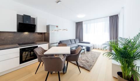 Mieten 2-Zimmer-Wohnung, 2-Zimmer-Wohnung, Bottova, Bratislava - Staré