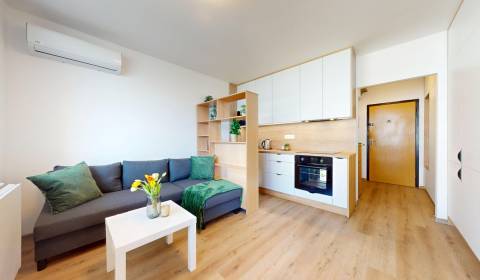 BA/PETRŽALKA-Renovierte 2-Zimmer-Wohnung zur Miete mit 2 Balkonen