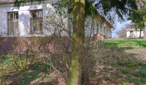 Kaufen Ferienhaus, Ferienhaus, Trnava, Slowakei