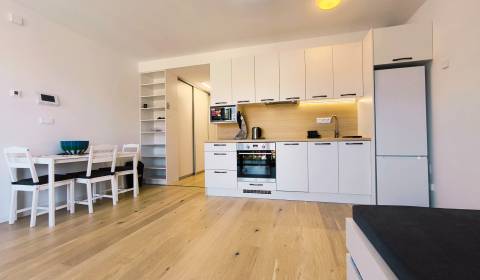 Mieten 1-Zimmer-Wohnung, 1-Zimmer-Wohnung, Košická, Bratislava - Ružin