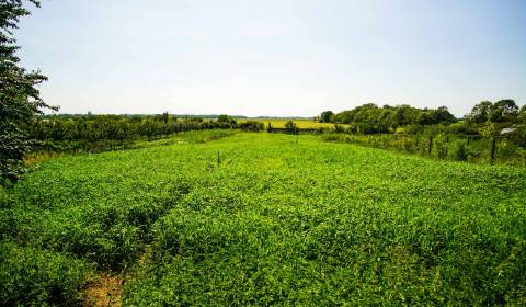 Kaufen Baugrund, Baugrund, Mostná, Nové Zámky, Slowakei