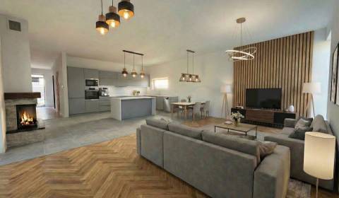 Kaufen Einfamilienhaus, Einfamilienhaus, Vrakúň, Dunajská Streda, Slow