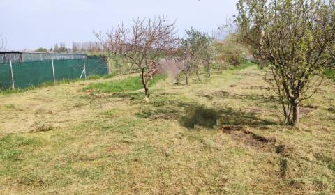 Kaufen Baugrund, Baugrund, Dunajská Streda, Slowakei