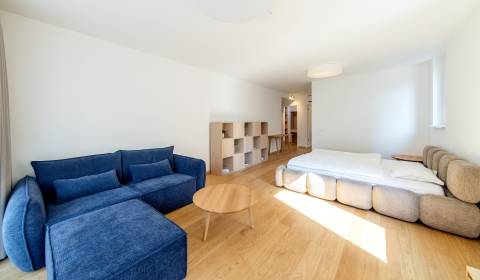 Mieten 1-Zimmer-Wohnung, 1-Zimmer-Wohnung, Floriánska, Bratislava - St