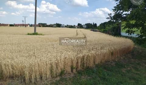 Kaufen Baugrund, Dunajská Streda, Slowakei