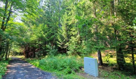 Kaufen Baugrundstück Erholung, Baugrundstück Erholung, Brezno, Slowake