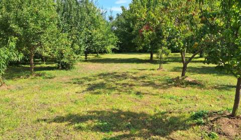 Kaufen Neubauprojekte Häuser, Neubauprojekte Häuser, Šaľa, Slowakei