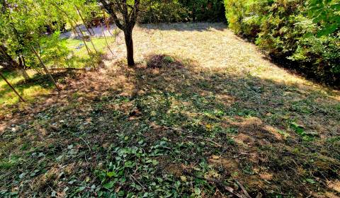 Kaufen Garten, Garten, Nitra, Slowakei