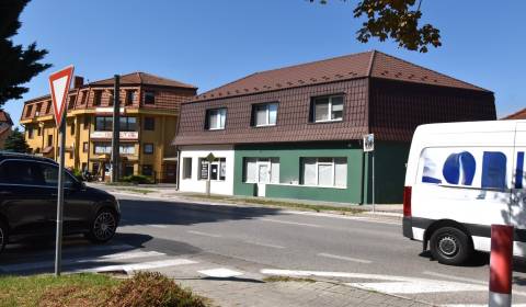 Mieten Geschäftsräumlichkeiten, Geschäftsräumlichkeiten, Šafárikova, G