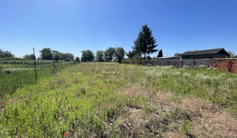 Kaufen Einfamilienhaus, Einfamilienhaus, Nové Zámky, Slowakei