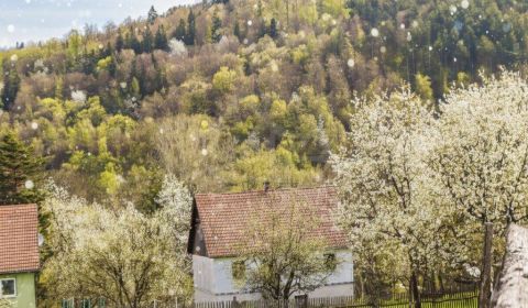 Kaufen Einfamilienhaus, Einfamilienhaus, Detva, Slowakei