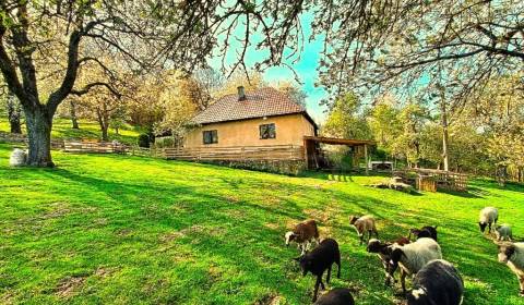 Kaufen Einfamilienhaus, Einfamilienhaus, Lučenec, Slowakei