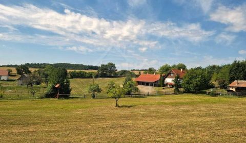 Kaufen Einfamilienhaus, Einfamilienhaus, Veľký Krtíš, Slowakei