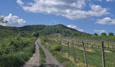 Kaufen Ferienhaus, Ferienhaus, Veľký Krtíš, Slowakei