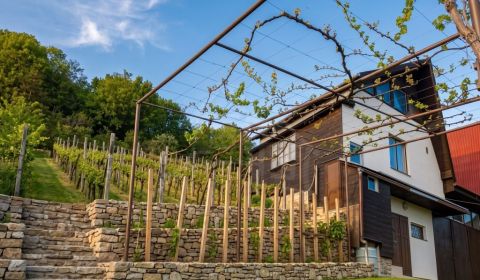 Kaufen Ferienhaus, Ferienhaus, Veľký Krtíš, Slowakei