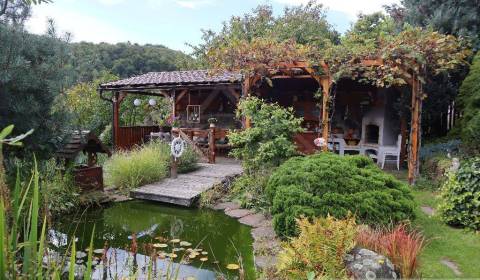 Kaufen Ferienhaus, Ferienhaus, Detva, Slowakei