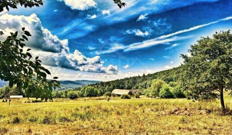 Kaufen Einfamilienhaus, Einfamilienhaus, Zvolen, Slowakei