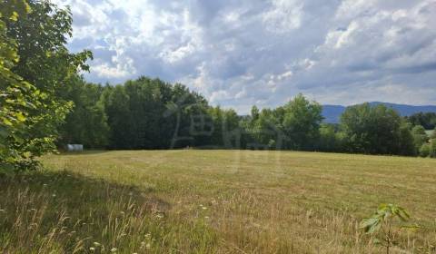 Kaufen Ferienhaus, Ferienhaus, Detva, Slowakei