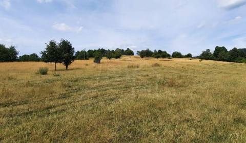 Kaufen landwirtsch. Grundstücke, landwirtsch. Grundstücke, Žiar nad Hr