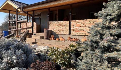 Kaufen Einfamilienhaus, Einfamilienhaus, Nové Zámky, Slowakei