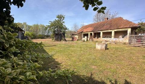 Kaufen Einfamilienhaus, Einfamilienhaus, Nové Zámky, Slowakei