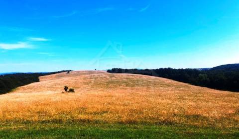Kaufen Einfamilienhaus, Einfamilienhaus, Krupina, Slowakei