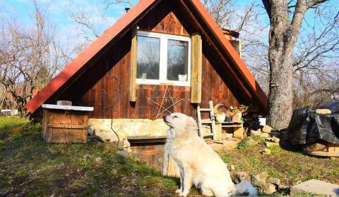 Kaufen Einfamilienhaus, Einfamilienhaus, Levice, Slowakei