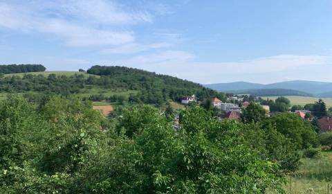 Kaufen Einfamilienhaus, Einfamilienhaus, Partizánske, Slowakei