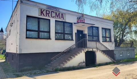 Kaufen Geschäftsräumlichkeiten, Geschäftsräumlichkeiten, Tichá, Topoľč