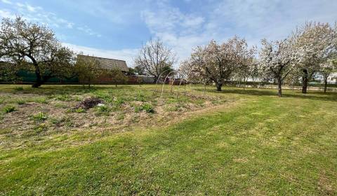 Kaufen Baugrund, Topoľčany, Slowakei