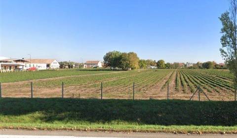 Kaufen Baugrund, Baugrund, Novozámocká, Nitra, Slowakei