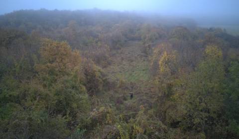 Kaufen Garten, Garten, Nitra, Slowakei