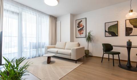Mieten 2-Zimmer-Wohnung, 2-Zimmer-Wohnung, Pribinova, Bratislava - Sta
