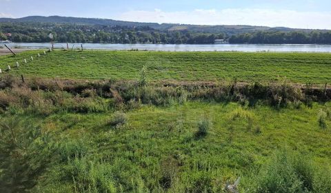 Kaufen Garten, Garten, Komárno, Slowakei
