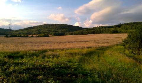 Kaufen landwirtsch. Grundstücke, landwirtsch. Grundstücke, Košice-okol