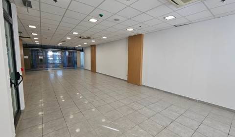 Mieten Geschäftsräumlichkeiten, Geschäftsräumlichkeiten, Hodská, Galan