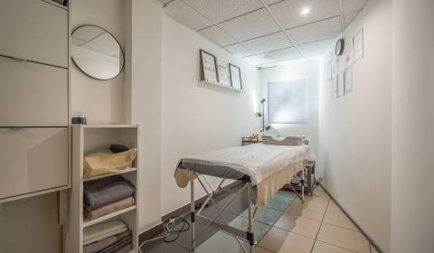 Mieten Geschäftsräumlichkeiten, Geschäftsräumlichkeiten, Bajkalská, Br